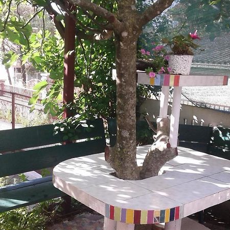 Eleni Apartment Tivat Ngoại thất bức ảnh