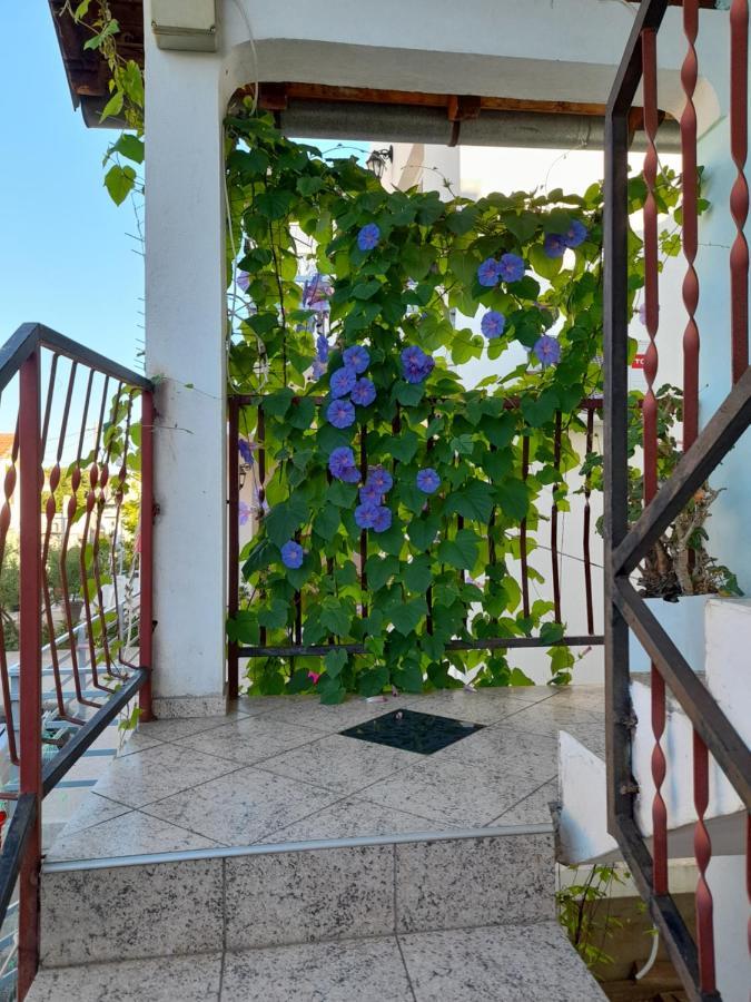 Eleni Apartment Tivat Ngoại thất bức ảnh